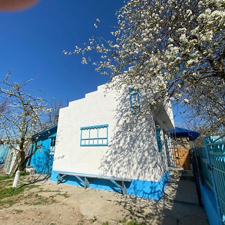 주릴로브카 Casa Bunicilor Granny'S House 빌라 외부 사진