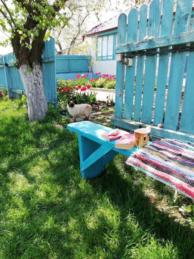 주릴로브카 Casa Bunicilor Granny'S House 빌라 외부 사진