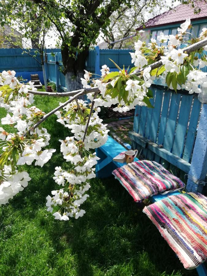 주릴로브카 Casa Bunicilor Granny'S House 빌라 외부 사진