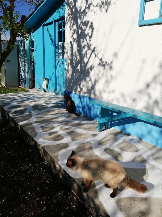 주릴로브카 Casa Bunicilor Granny'S House 빌라 외부 사진