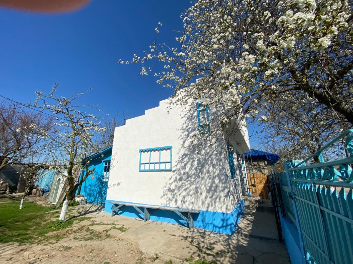 주릴로브카 Casa Bunicilor Granny'S House 빌라 외부 사진