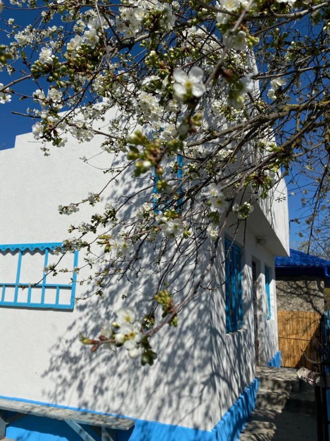 주릴로브카 Casa Bunicilor Granny'S House 빌라 외부 사진