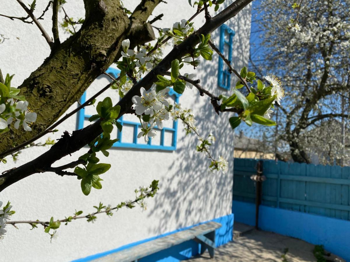 주릴로브카 Casa Bunicilor Granny'S House 빌라 외부 사진
