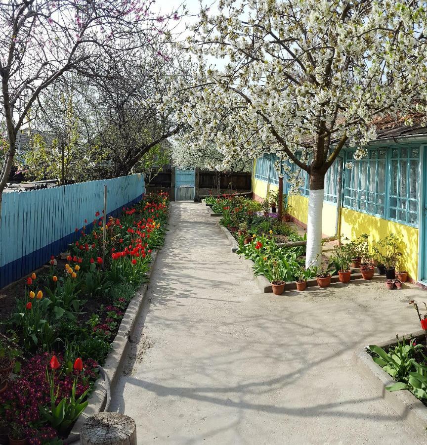 주릴로브카 Casa Bunicilor Granny'S House 빌라 외부 사진