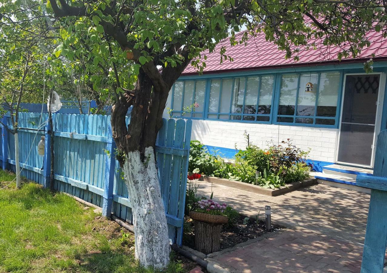 주릴로브카 Casa Bunicilor Granny'S House 빌라 외부 사진