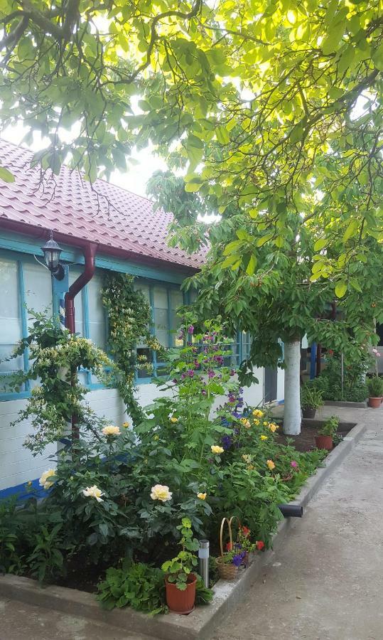주릴로브카 Casa Bunicilor Granny'S House 빌라 외부 사진