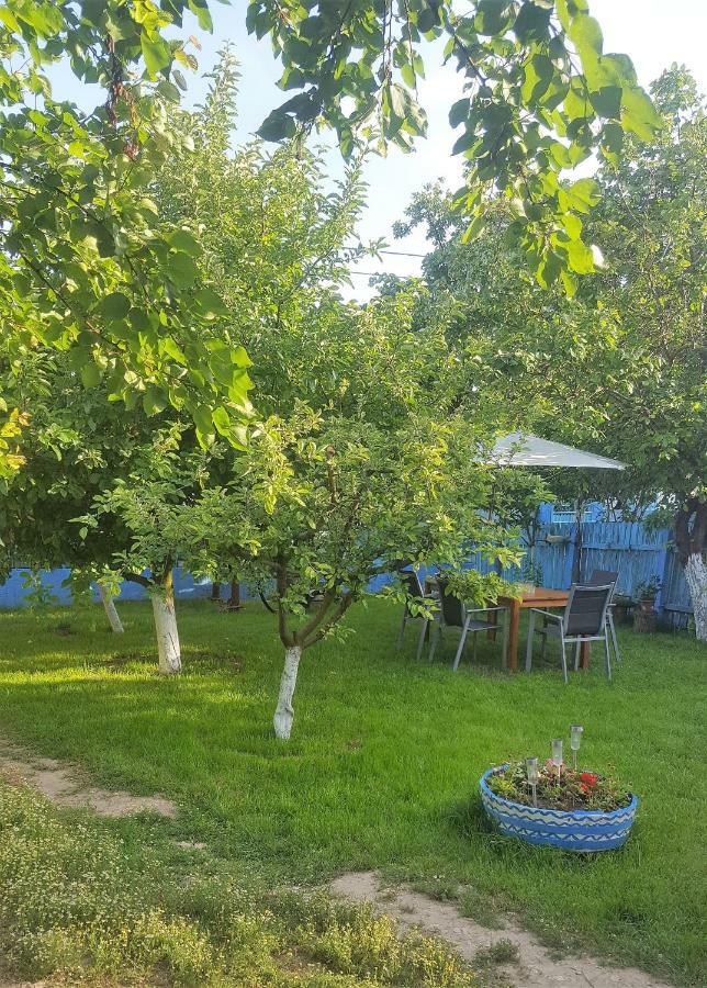 주릴로브카 Casa Bunicilor Granny'S House 빌라 외부 사진