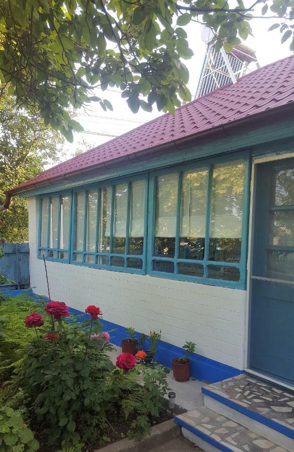 주릴로브카 Casa Bunicilor Granny'S House 빌라 외부 사진